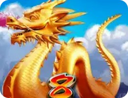 8金龙挑战